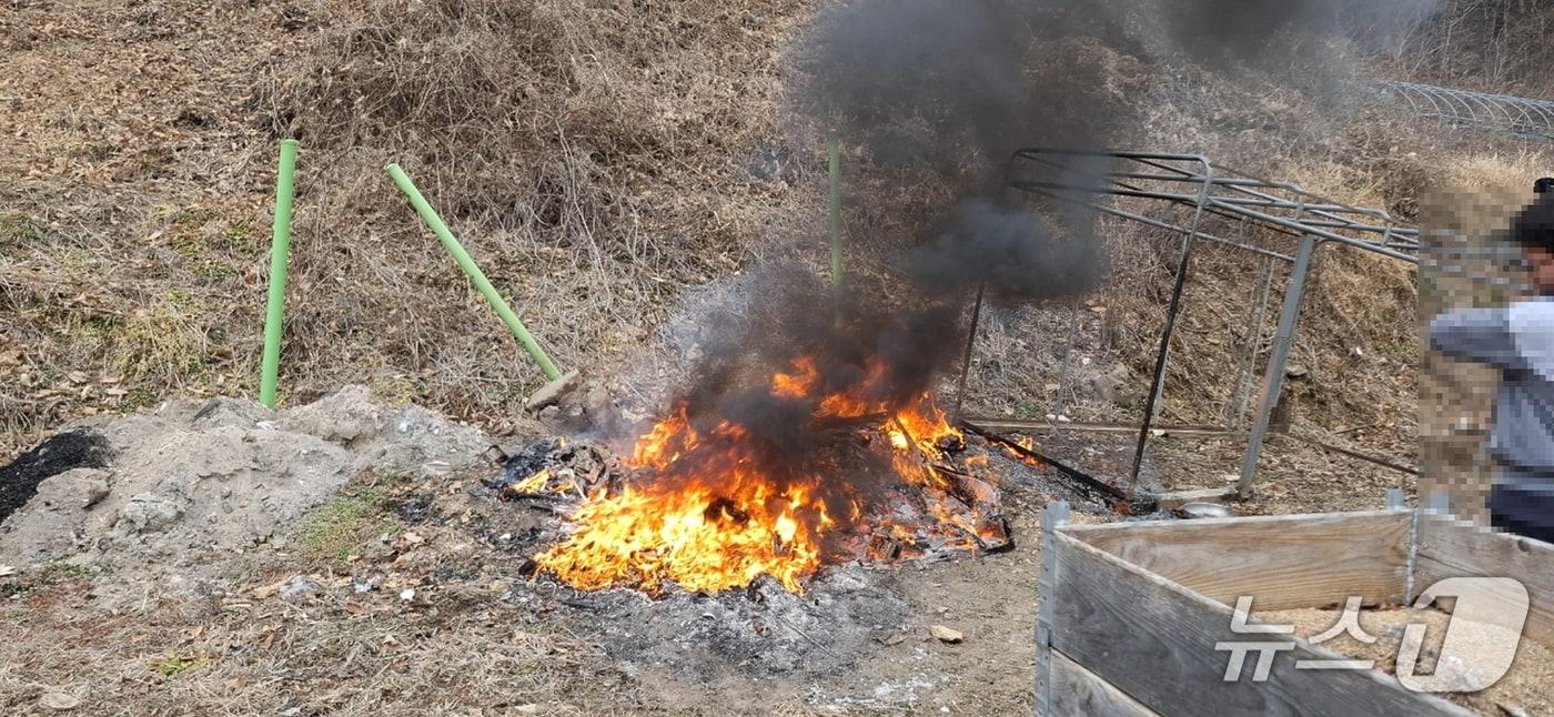본문 이미지 - 불법 소각행위 장면(영동군 제공. 재판매 및 DB금지) /뉴스1 