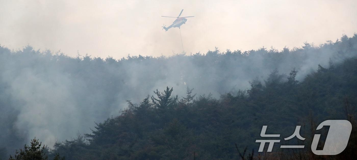 본문 이미지 - 산불 현장에서 육군 치누크 헬기(CH-47)가 진화 작업을 벌이고 있다. 2026.2.24 ⓒ 뉴스1 윤일지 기자