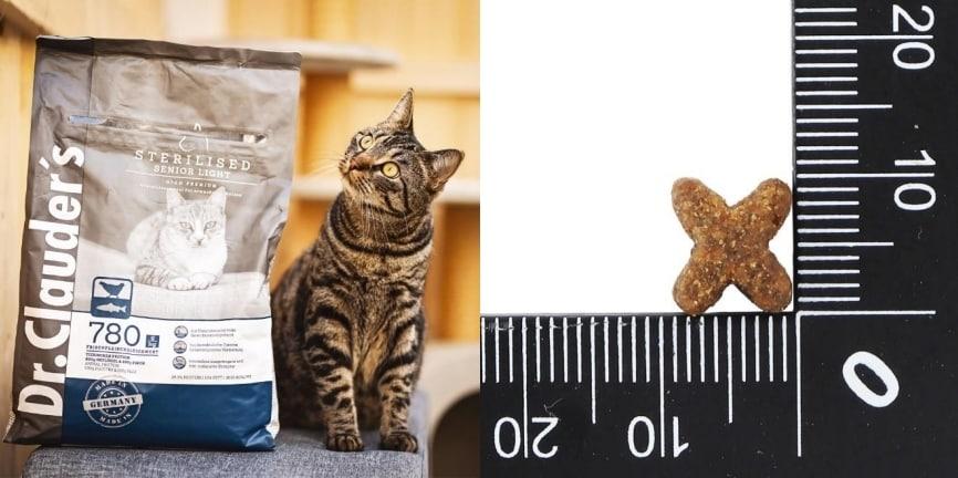 본문 이미지 - 독일 펫푸드 브랜드 닥터클라우더가 고양이 사료 제품군을 국내에 선보였다(강원지주 제공). ⓒ 뉴스1