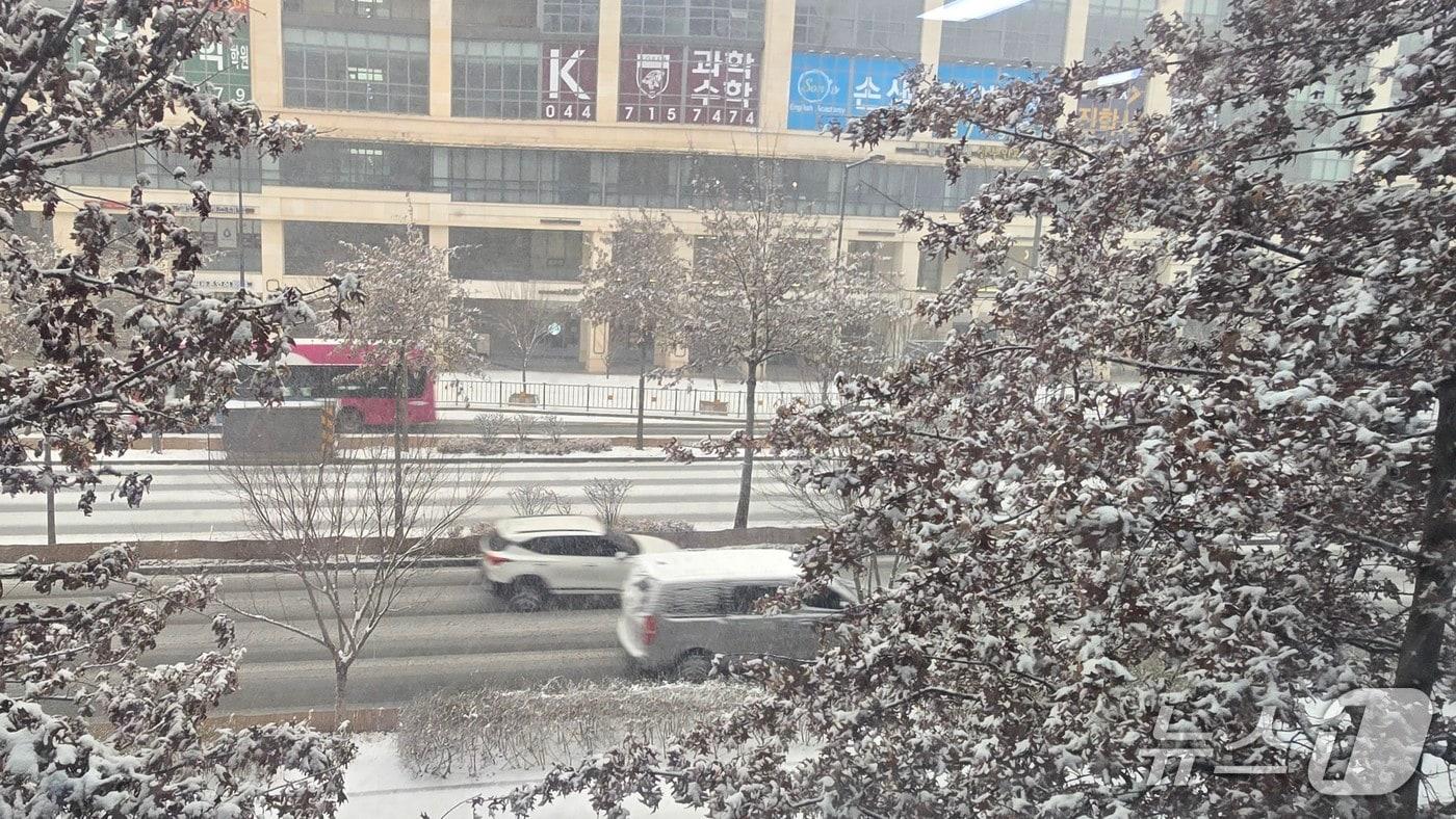 본문 이미지 - 대설주의보가 발효된 세종시 도로. / 뉴스1