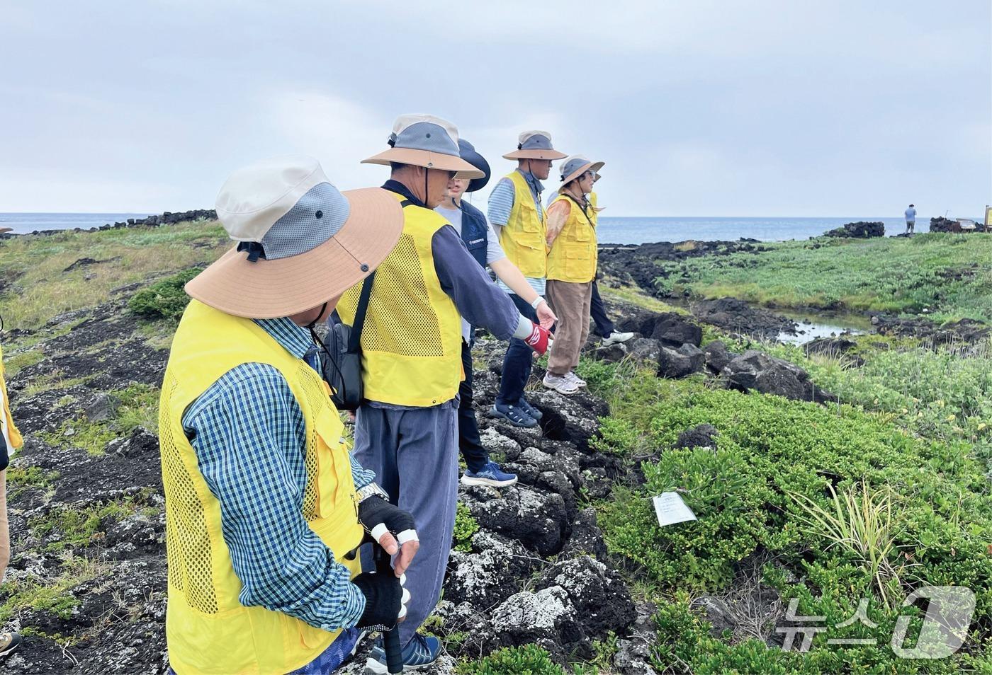 본문 이미지 -  산림보전형 노인 일자리 사업 참여자(국립산림과학원 제공. 재판매 및 DB금지)/뉴스1