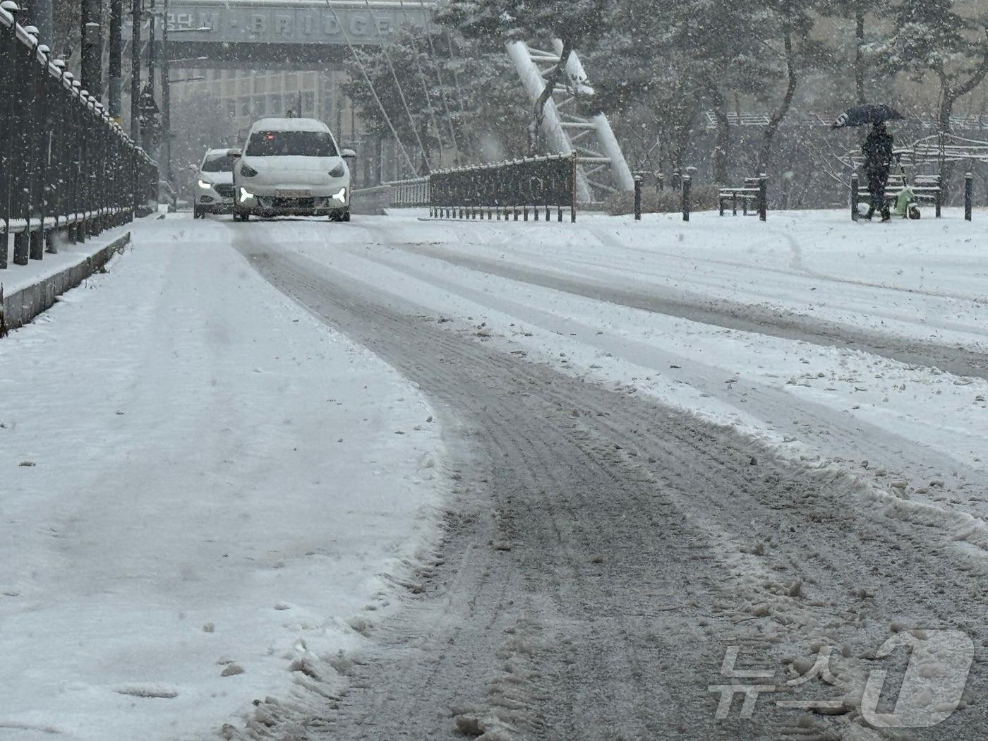 본문 이미지 - 24일 세종 어진동 정부세종청사 인근에 많은 눈이 내리고 있다. (사진은 기사 내용과 무관함) 2026.2.24 ⓒ 뉴스1 황덕현 기후환경전문기자