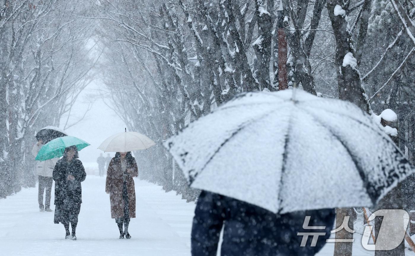 본문 이미지 - 대전과 충청지역 곳곳에 대설주의보가 발효된 24일 대전 서구 보라매공원에서 시민들이 우산을 쓰고 지나고 있다. ⓒ 뉴스1 김기태 기자