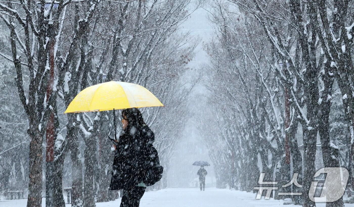 본문 이미지 - 대전과 충청지역 곳곳에 대설주의보가 발효된 24일 대전 서구 보라매공원에서 시민들이 우산을 쓰고 지나고 있다. 2026.2.24 ⓒ 뉴스1 김기태 기자