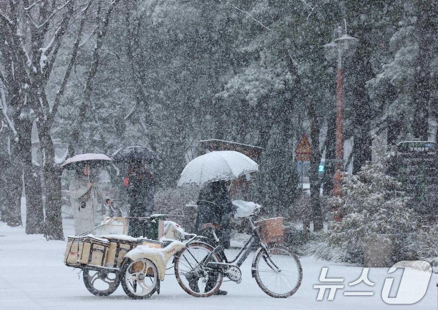 본문 이미지 - 자료사진./뉴스1