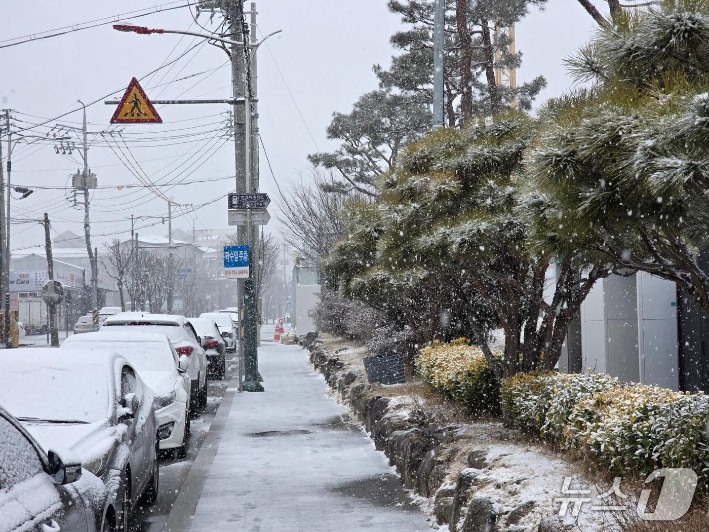 본문 이미지 - 함양군 함양읍 일원에 24일 오전 11시부터 눈이 내리고 있다(독자 제공. 재판매 및 DB금지). 2026.2.24