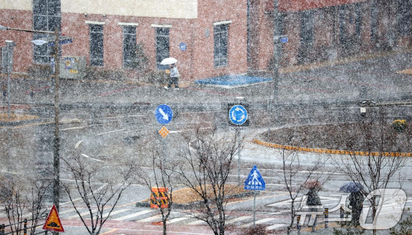 본문 이미지 - 24일 전북 완주군 삼례읍 일원에 진눈깨비가 내리고 있다. 2026.2.24 (사진은 기사 내용과 무관함)  ⓒ 뉴스1 유경석 기자