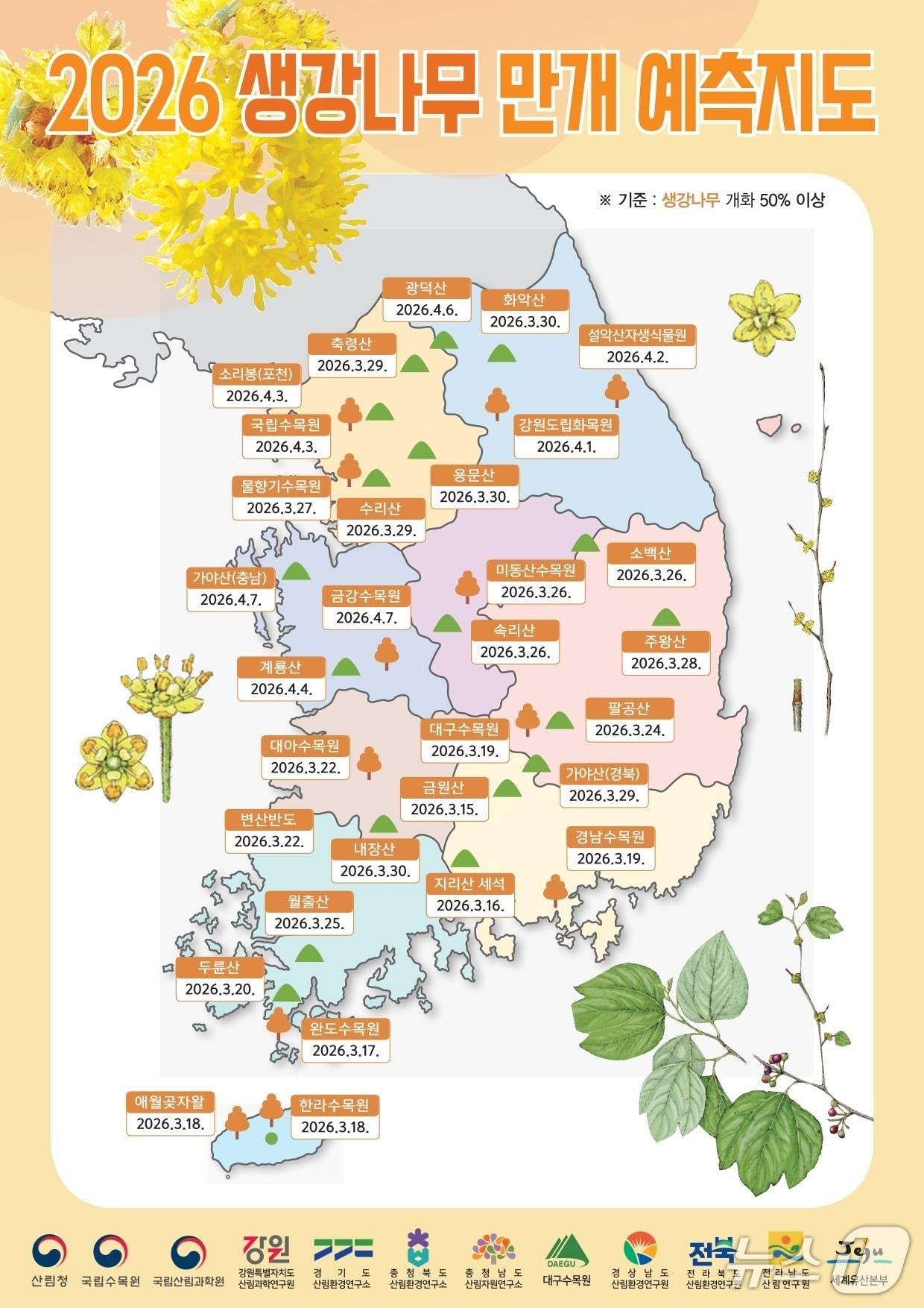 본문 이미지 - 2026년 생강나무 만개 예측지도