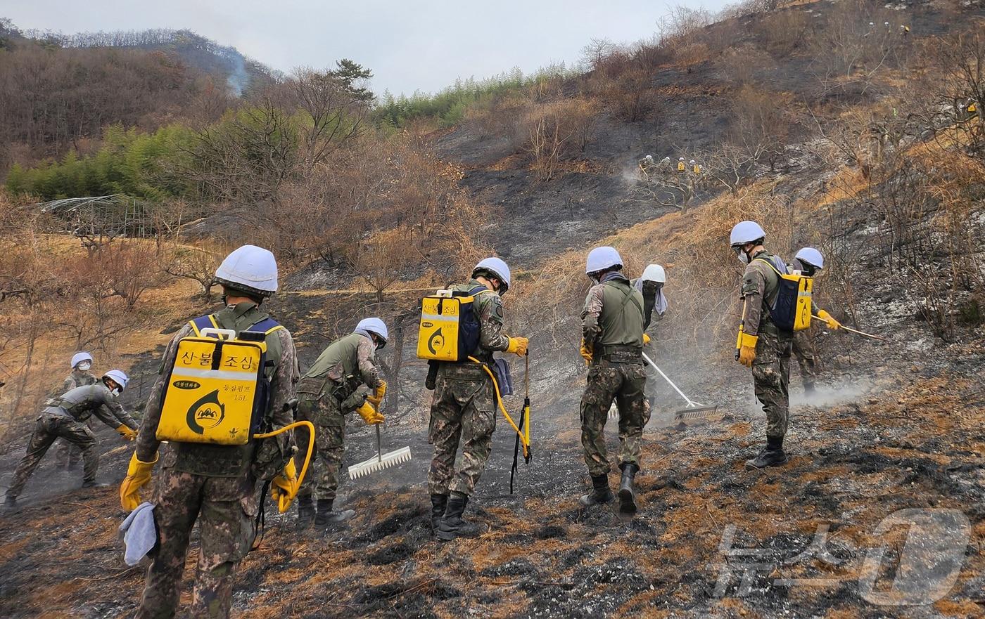 본문 이미지 - 육군 39보병사단 장병들이 24일 경남 밀양 일대 산불 현장에서 잔불 정리를 하고 있다. (육군 제공. 재판매 및 DB 금지) 2026.2.24 ⓒ 뉴스1