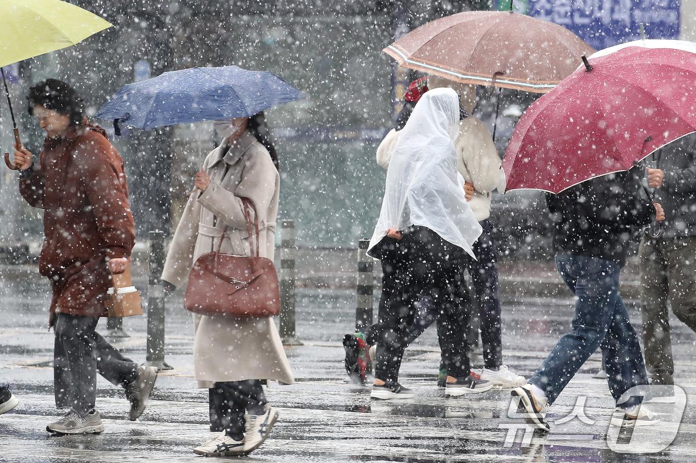 본문 이미지 - 24일 오후 대구 수성구 대구은행네거리 인근에 갑작스레 많은 눈이 내리자, 시민들이 우산을 펼쳐 눈을 피하며 발걸음을 재촉하고 있다. 2026.2.24 ⓒ 뉴스1 공정식 기자