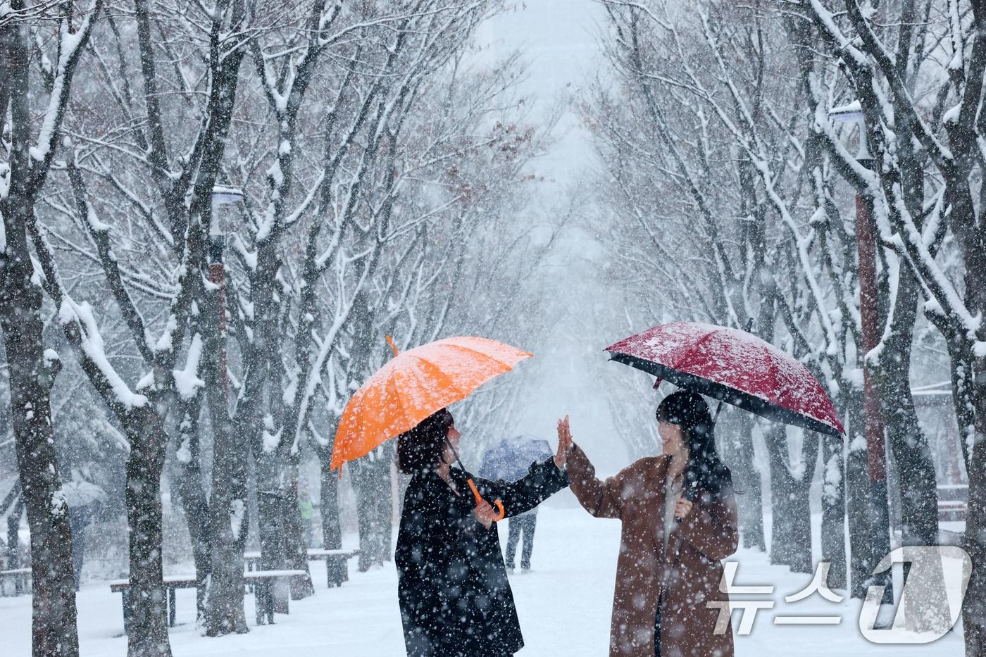 본문 이미지 - 대전과 충청지역 곳곳에 대설주의보가 발효된 지난 24일 오전 대전 서구 보라매공원에서 시민들이 우산을 쓰고 지나고 있다. 2026.2.24 ⓒ 뉴스1 김기태 기자