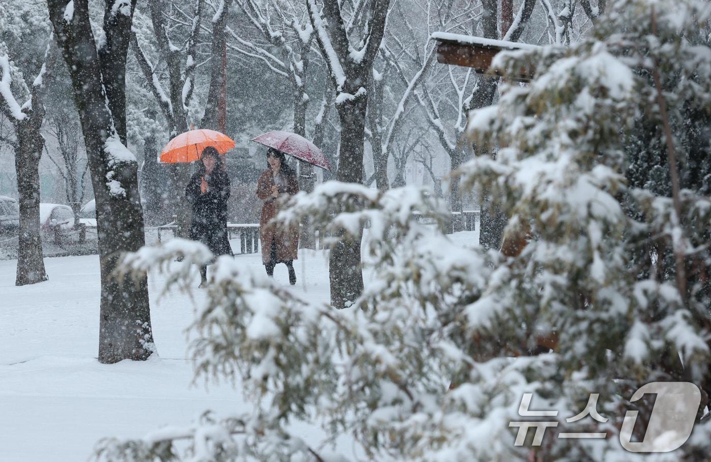본문 이미지 - 대전 서구 보라매공원에서 시민들이 우산을 쓰고 지나고 있다. 2026.2.24 ⓒ 뉴스1 김기태 기자