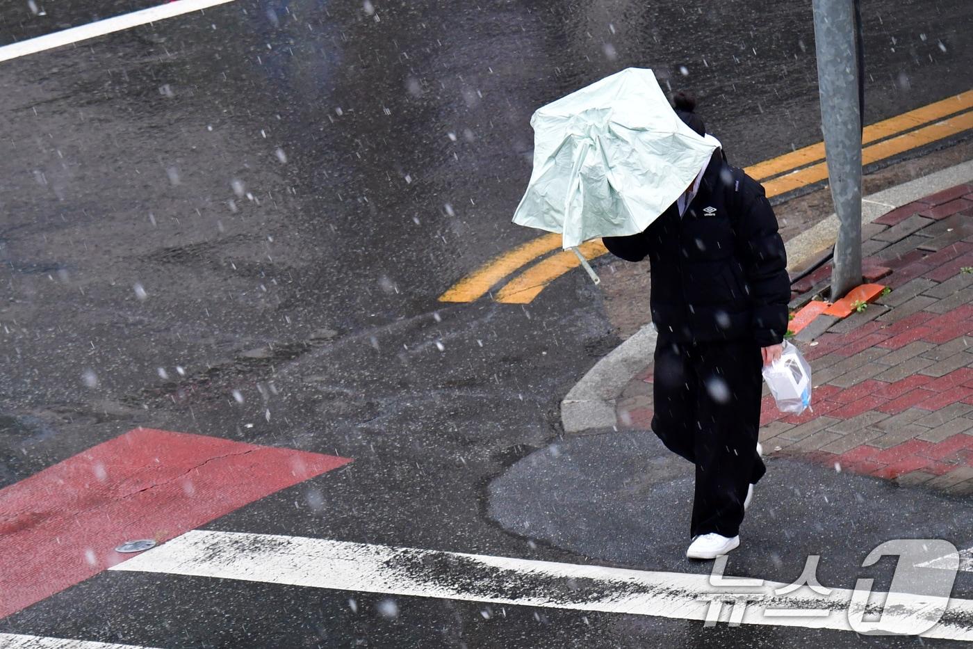 본문 이미지 - 24일 오후부터 경북 포항시에도 눈이 내리자 우산을 쓴 시민이 북구청 앞 횡단보도를 건너가고 있다. 2026.2.24 ⓒ 뉴스1 최창호 기자
