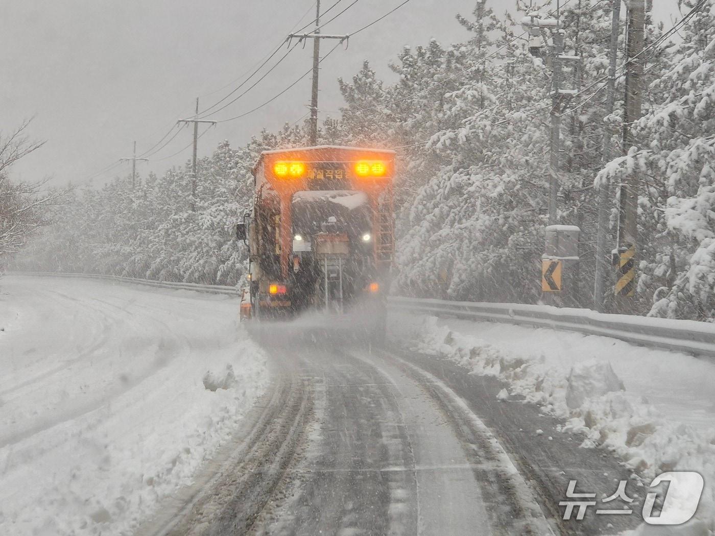 본문 이미지 - 24일 대설주의보가 내린 경북 포항에서 제설작업이 진행되고 있다.2026.2.24/뉴스1