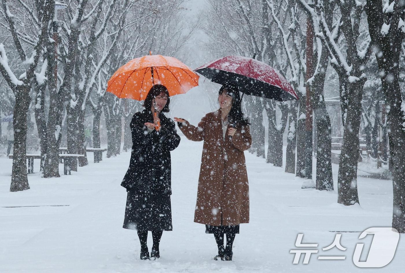 본문 이미지 - 대전과 충청지역 곳곳에 대설주의보가 발효된 24일 오전 대전 서구 보라매공원에서 시민들이 우산을 쓰고 지나고 있다. 2026.2.24 ⓒ 뉴스1 김기태 기자