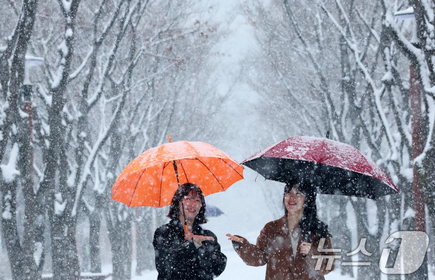 본문 이미지 - 대전과 충청지역 곳곳에 대설주의보가 발효된 24일 오전 대전 서구 보라매공원에서 시민들이 우산을 쓰고 지나고 있다. 2026.2.24 ⓒ 뉴스1 김기태 기자
