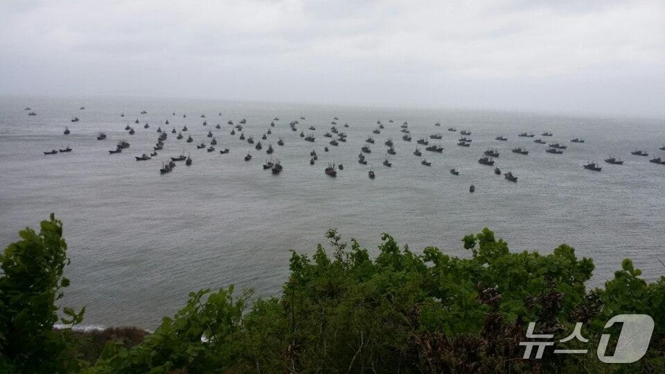 본문 이미지 - 인천 옹진군 연평도 인근 NLL에 출몰한 중국 어선떼. (연평 어민 제공.재판매 및 DB금지)