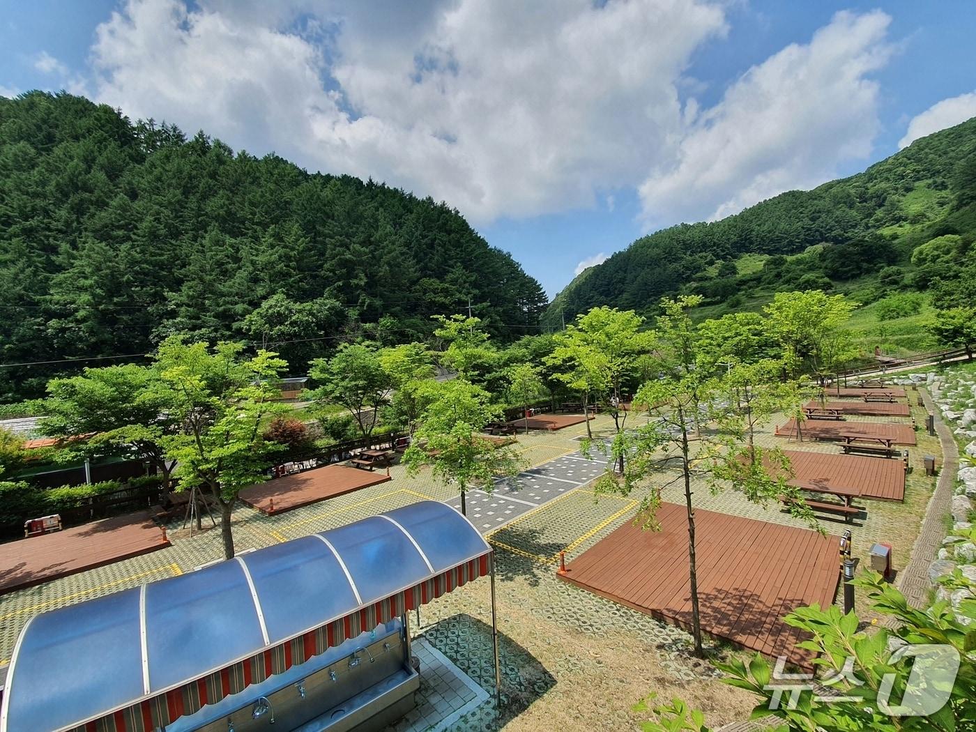 본문 이미지 - 충북 증평군 좌구산휴양랜드 캠핑장.(증평군 제공, 재판매 및 DB금지)/뉴스1