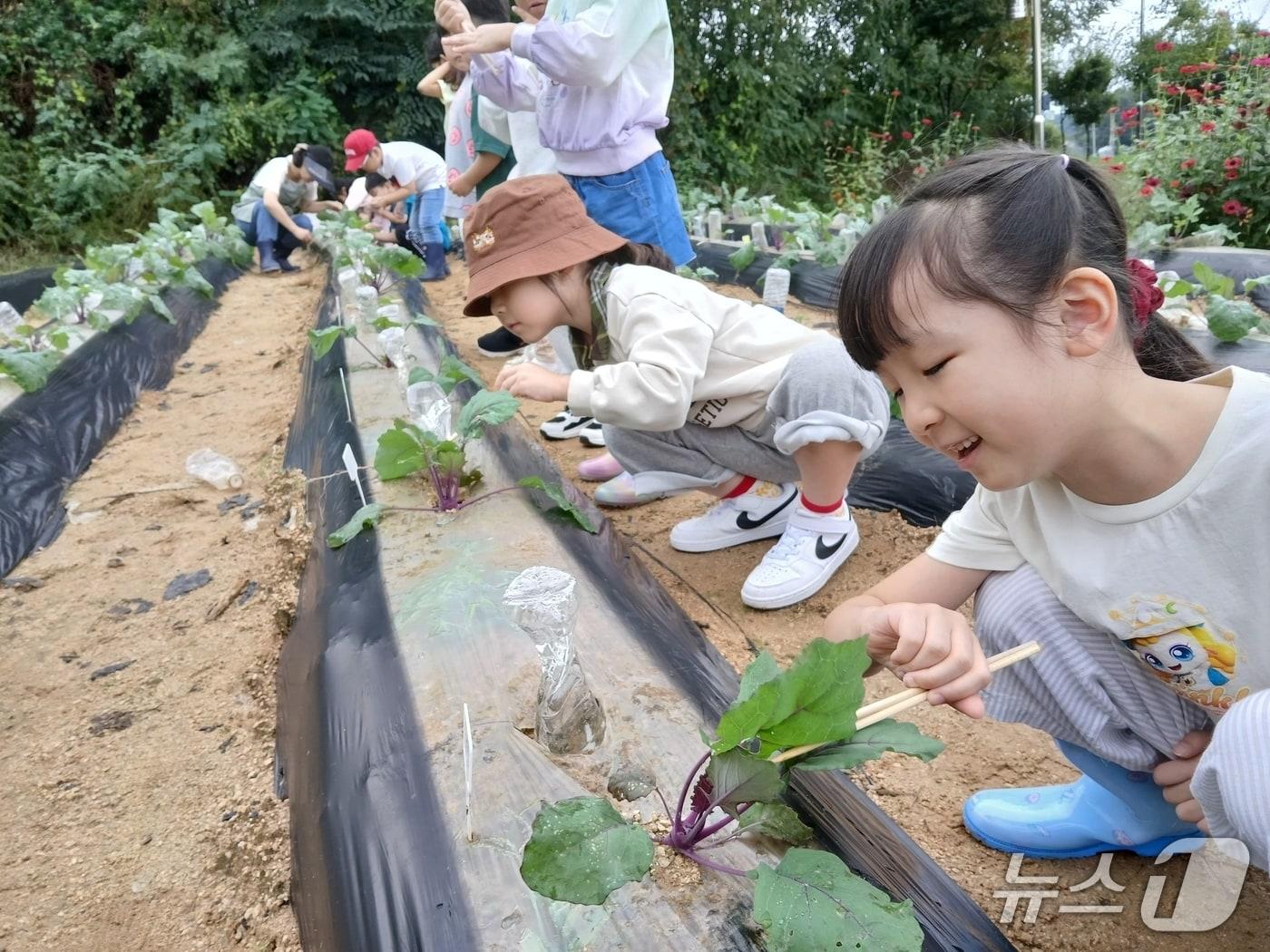 본문 이미지 - 충북 증평 정안농촌체험휴양마을에서 온마을배움터 프로그램을 진행하는 모습.(증평군 제공, 재판매 및 DB금지)/뉴스1