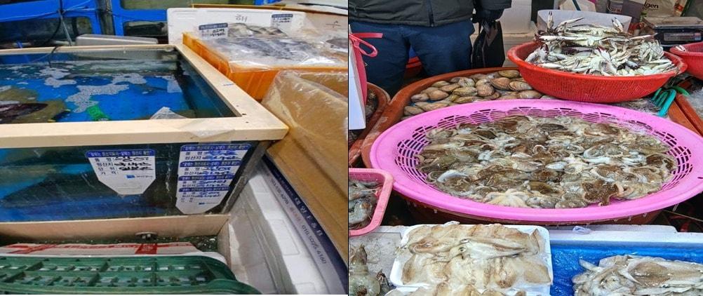 본문 이미지 - 수산물 원산지 거짓 표시(왼쪽)와 수산물 원산지 미표시 사례. (인천시 제공.재판매 및 DB금지)