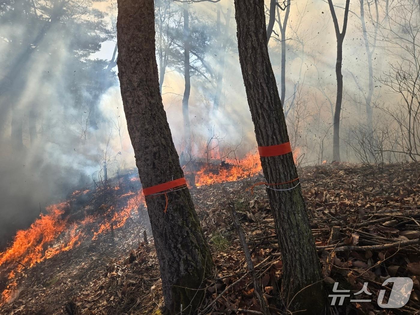 본문 이미지 - 강원 인제군 인제읍 덕적리 산불 상황.(산림청 제공, 재판매 및 DB금지)