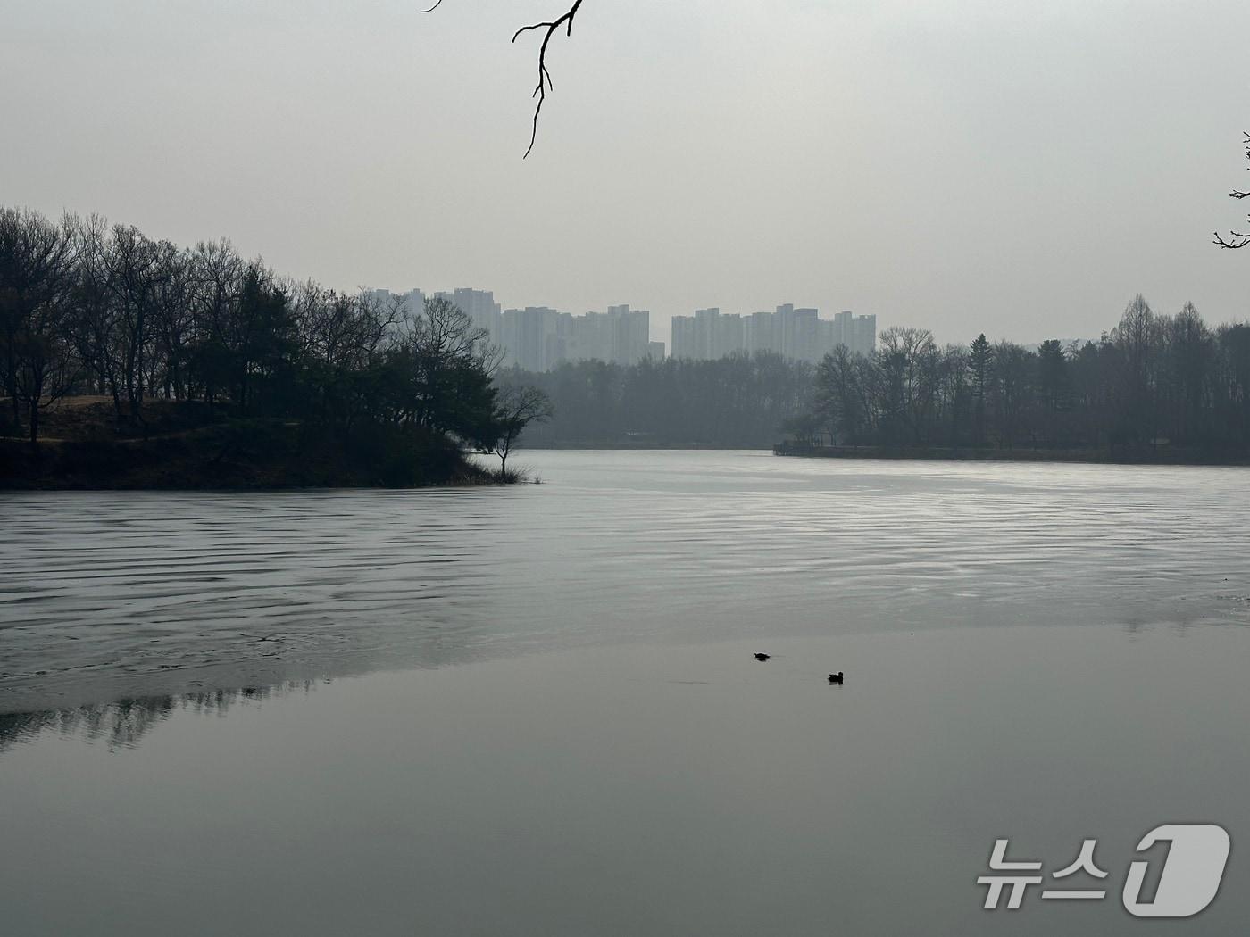 본문 이미지 - 충주 호암지.(재판매 및 DB금지)/뉴스1 