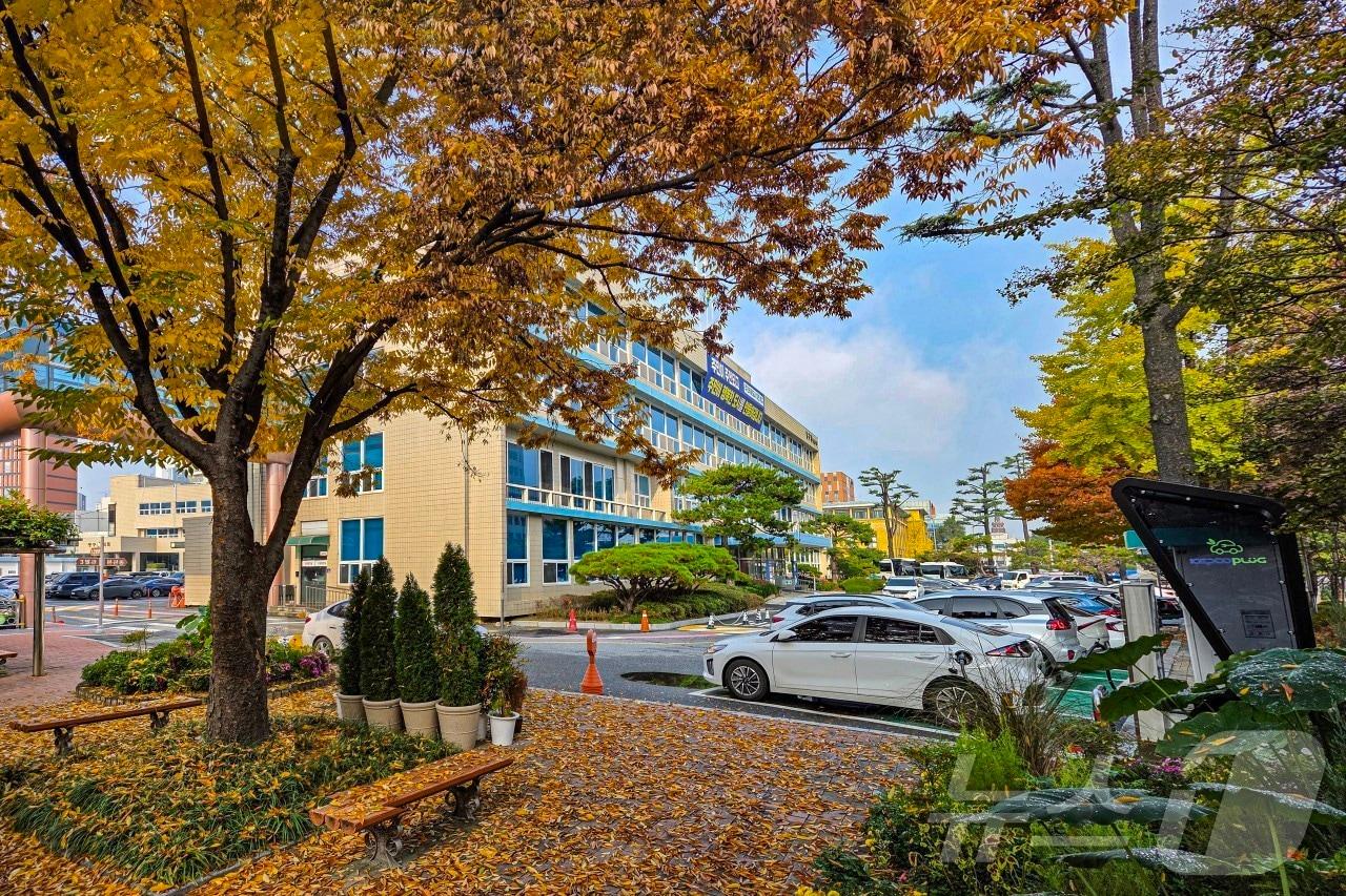 본문 이미지 - 대전 중구청사 전경. (중구청 제공. 재판매 및 DB금지) 2026.2.26 ⓒ 뉴스1 이동원 기자