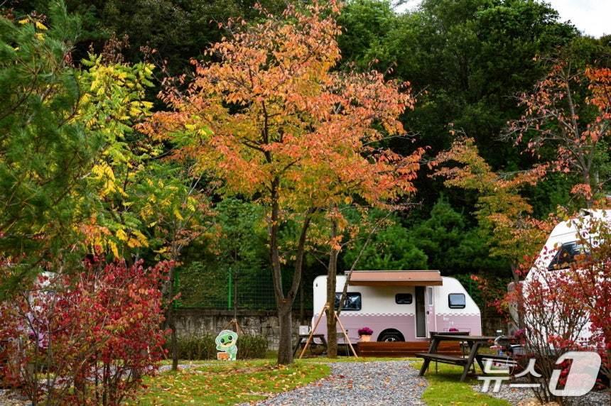 본문 이미지 - 경북 봉화군 청량산 수원캠핑장 전경. (수원시 제공. 재판매 및 DB 금지) 2025.12.22/뉴스1