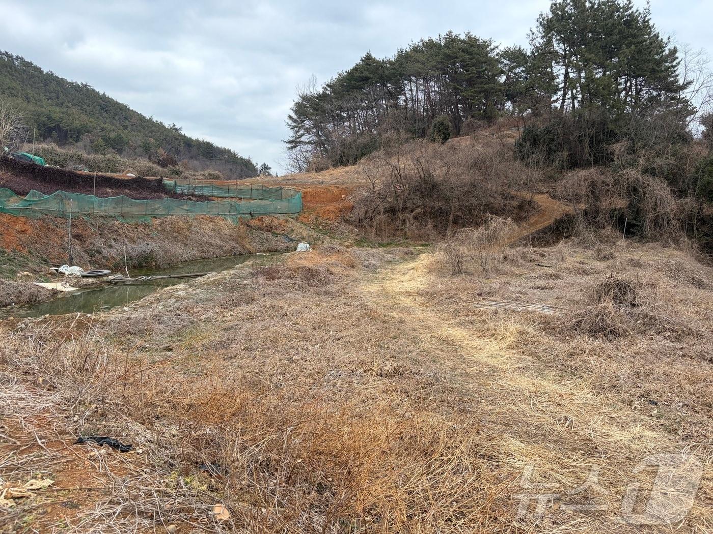 본문 이미지 - 정원오 성동구청장이 보유한 여수시 소라면 현천리의 600평 규모 농지. 2026.2.27 ⓒ 뉴스1 김성준 기자