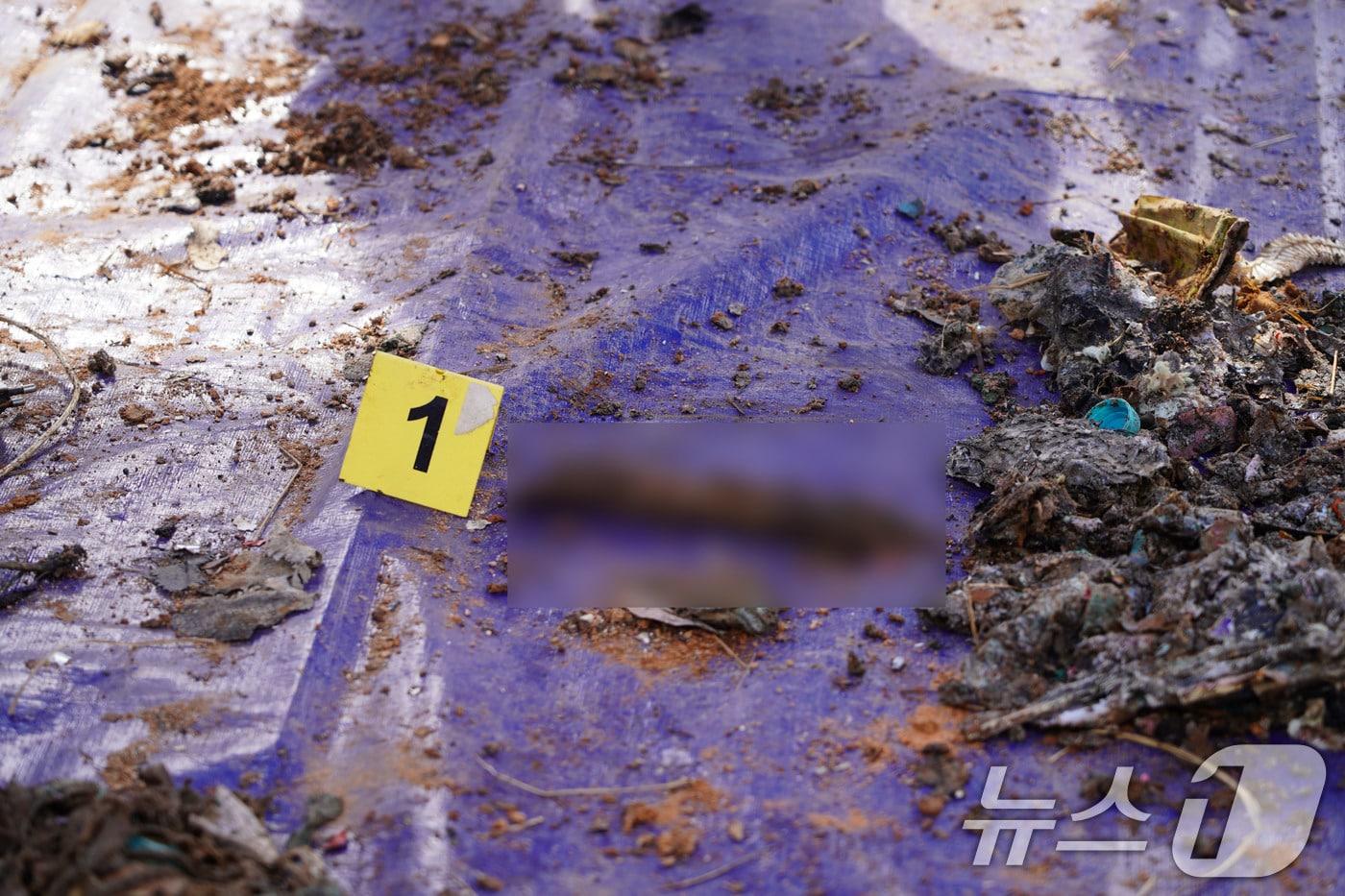 본문 이미지 - 26일 국토부 항공철도사고조사위원회와 전남경찰청 등이 합동으로 진행한 제주항공 사고기 기체잔해물 재분류작업에서 인골 추정 유해가 발견된 모습.(유가족협의회 제공. 재판매 및 DB 금지) ⓒ 뉴스1 박지현 기자