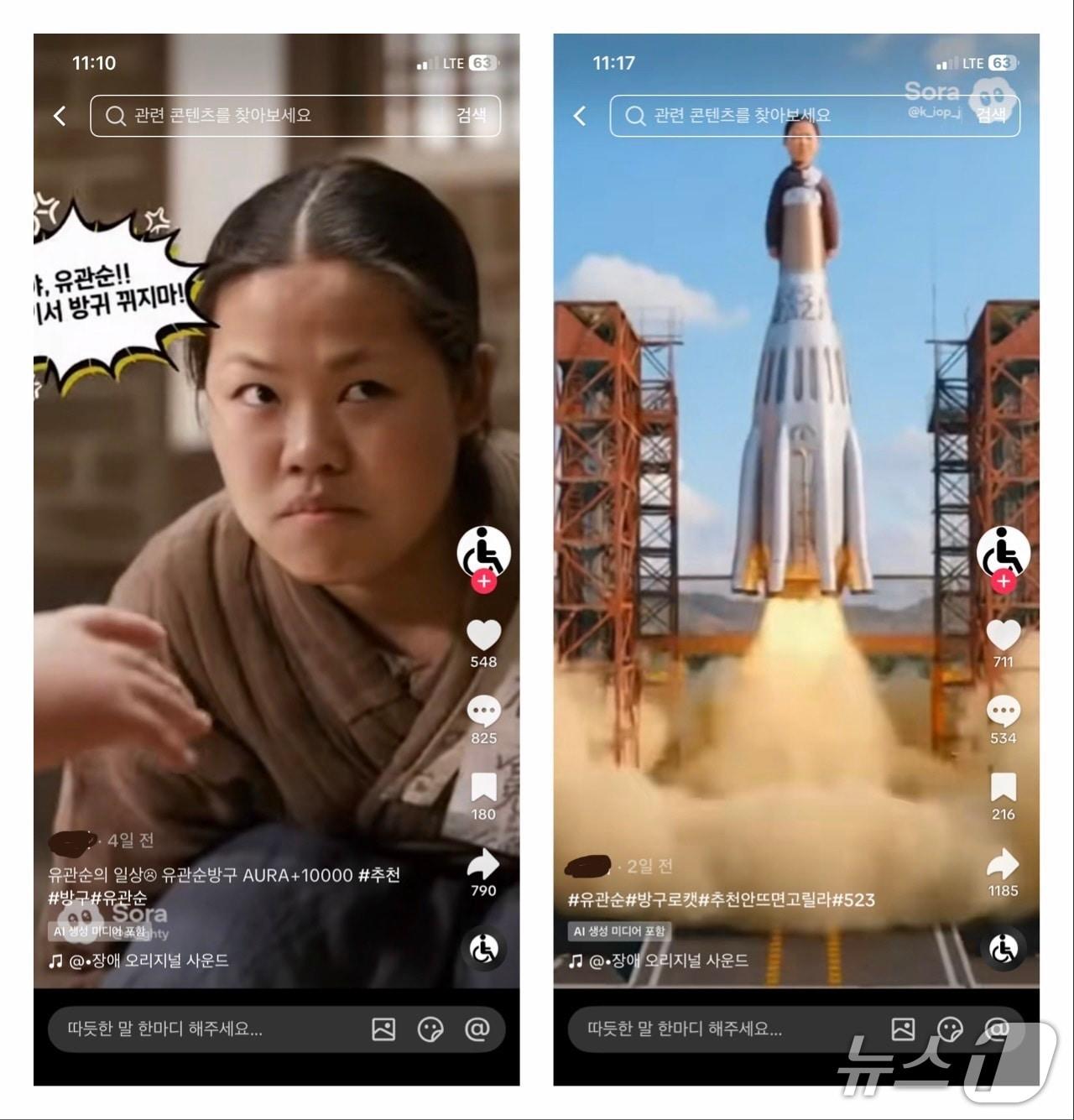 본문 이미지 - (틱톡 갈무리)