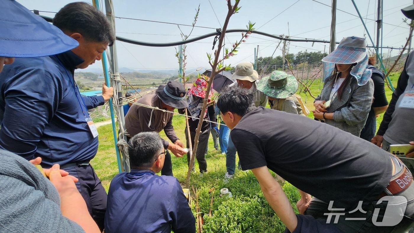 본문 이미지 - 전북 임실군 농업기술센터는 오는 3월 11일까지 '농업인대학' 교육생을 모집한다.(임실군제공. 재판매 및 DB금지)2026.2.26/뉴스1