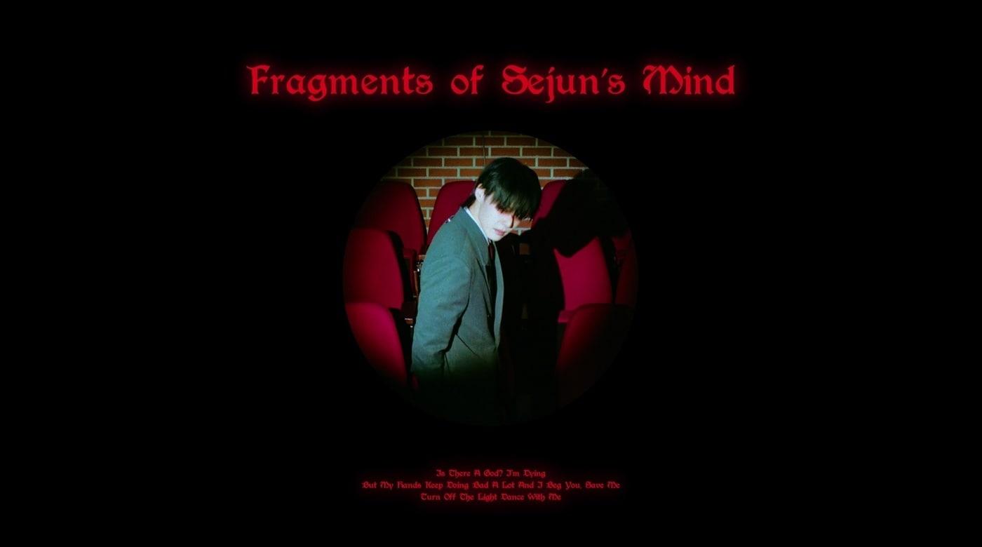 본문 이미지 - 사진제공=웨이베러