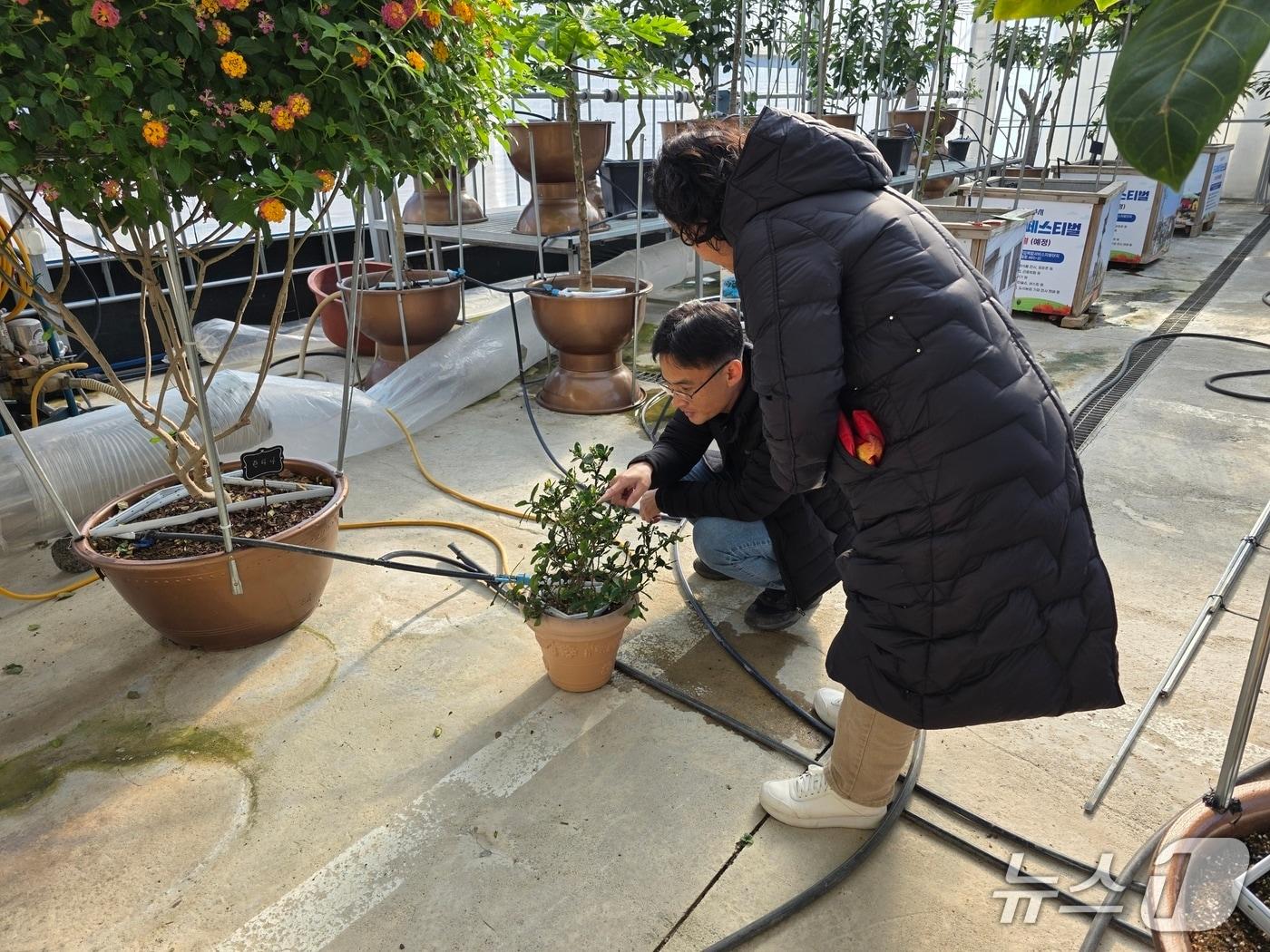 본문 이미지 - 청주시 반려식물 병원.(시 제공. 재판매 및 DB금지)