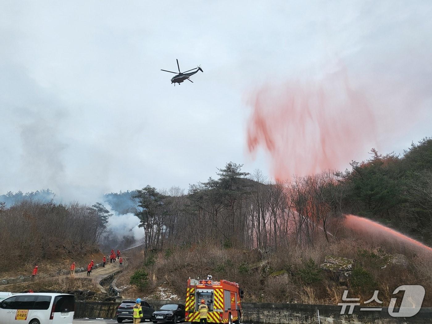 본문 이미지 - 대형화 산불 대비 합동훈련 장면(보은국유림관리소 제공. 재판매 및 DB금지) 