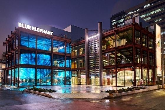 본문 이미지 - (블루엘리펀트 제공)