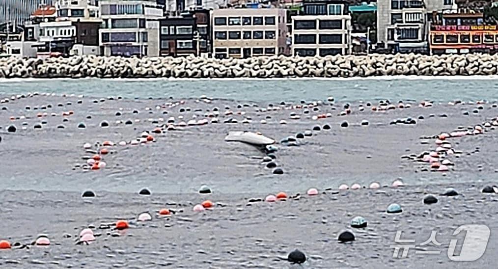 본문 이미지 - 27일 부산 해운대구 청사포 인근 해상에서 카약을 타던 50대 A씨가 표류하는 일이 있었다. (해경 제공. 재판매 및 DB금지)
