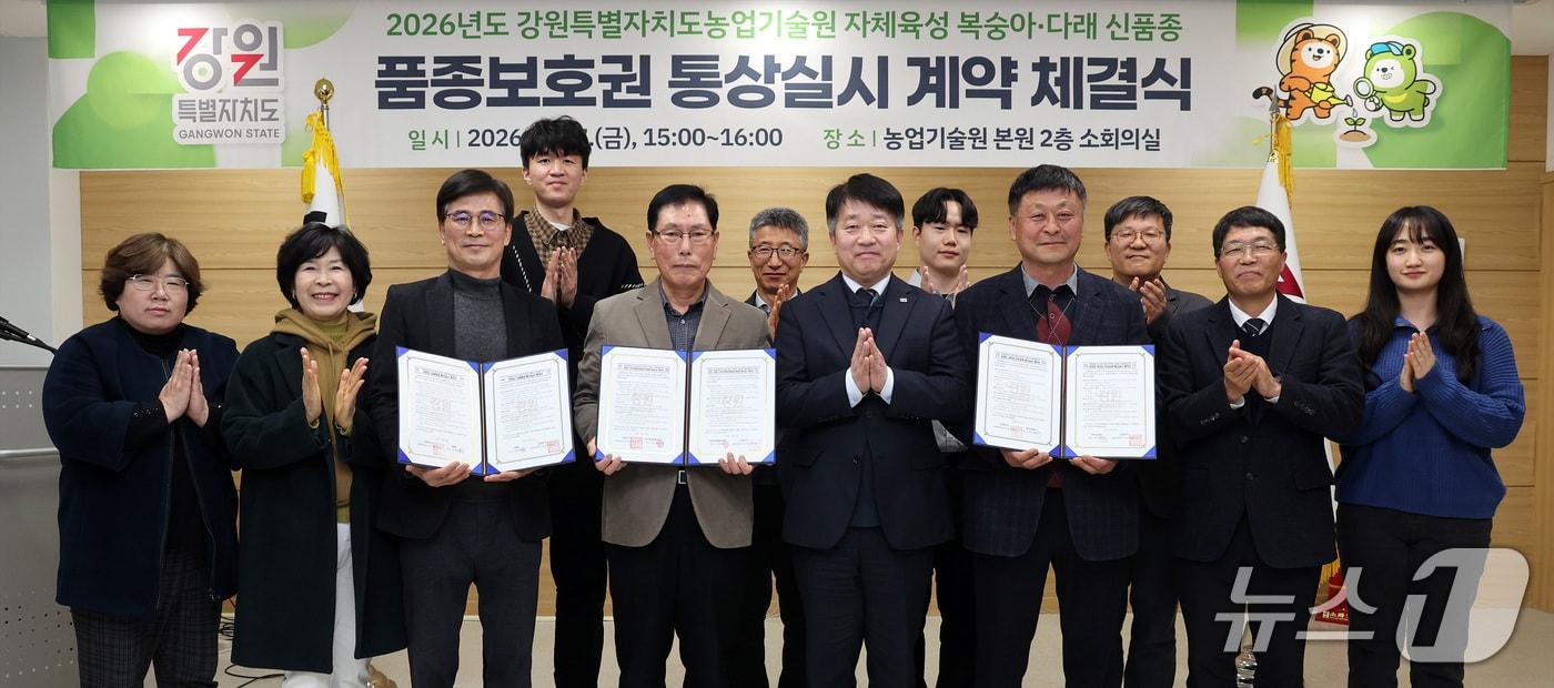 본문 이미지 - 강원특별자치도 농업기술원, 품종보호권 통상실시 계약 체결식.(도농업기술원 제공, 재판매 및 DB금지)