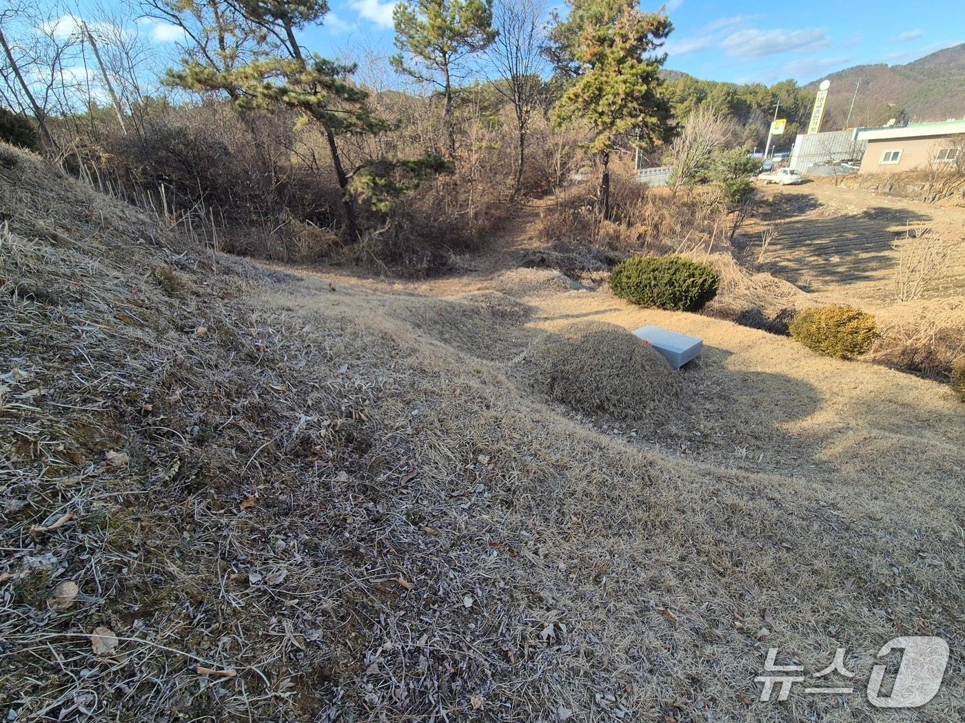 본문 이미지 -  27일 찾은 경기 양평군 용문면 광탄리 소재 이한주 경제·인문사회연구회 이사장(대통령 정책특별보좌관)의 땅.2026.02.27/뉴스1 양희문 기자
