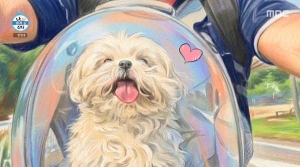 본문 이미지 - MBC '나 혼자 산다'