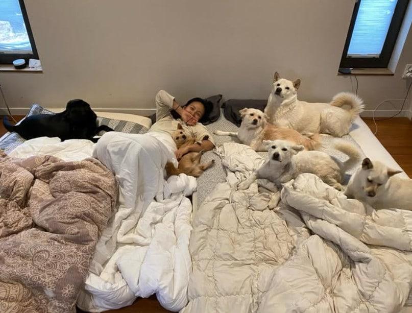 본문 이미지 - 이효리 인스타그램