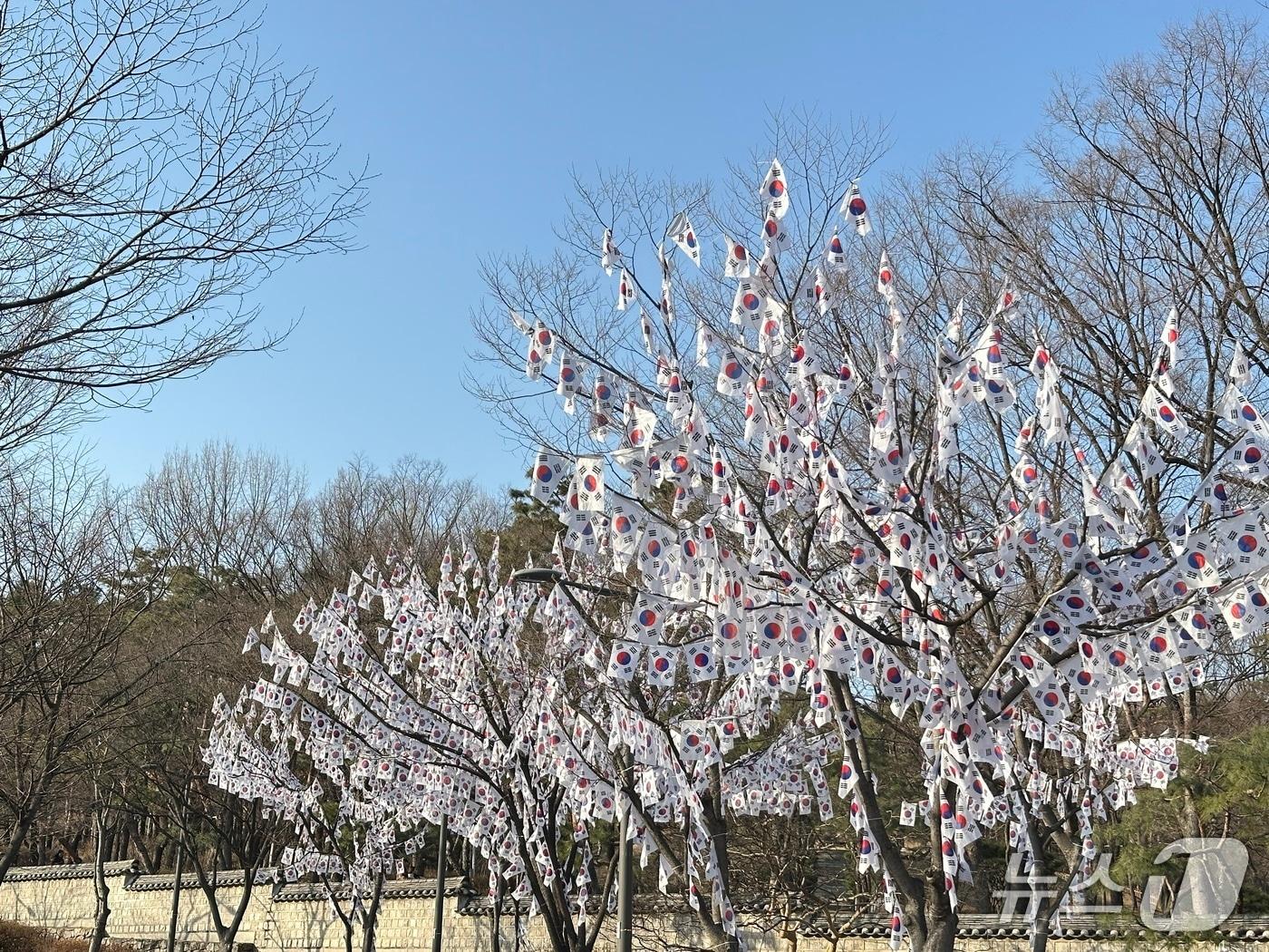 본문 이미지 - 28일 서울 용산구 효창공원 앞 태극기거리에 태극기 꽃이 피었다. 2026.2.28. ⓒ 뉴스1