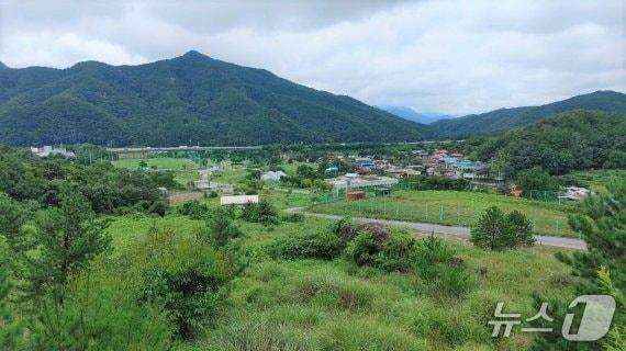 본문 이미지 - 보은군 마로면 구병산광관지 일원 (재판매 및 DB금지) /뉴스1 