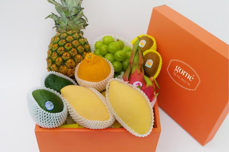 본문 이미지 - 사진=그린랩스 제공