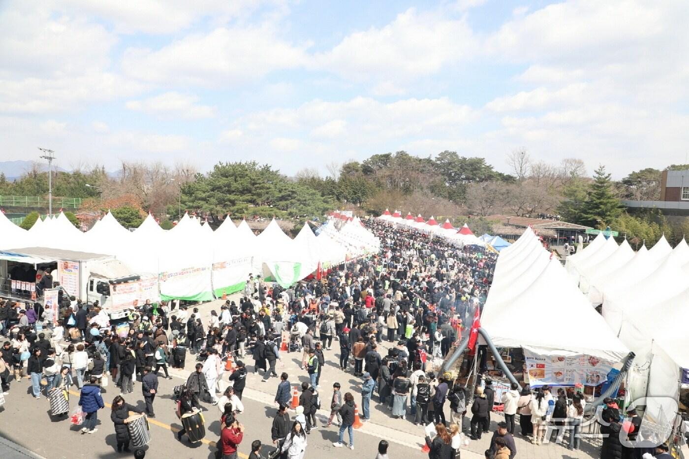 본문 이미지 - 지난해 딸기축제 (논산시 제공.재판매 및 DB금지)/뉴스1