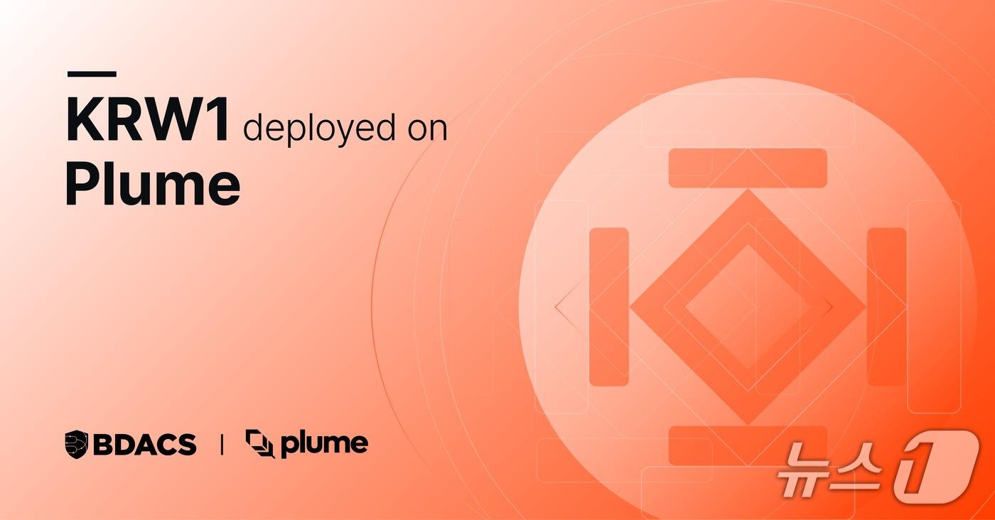 본문 이미지 -  (플룸 제공.)