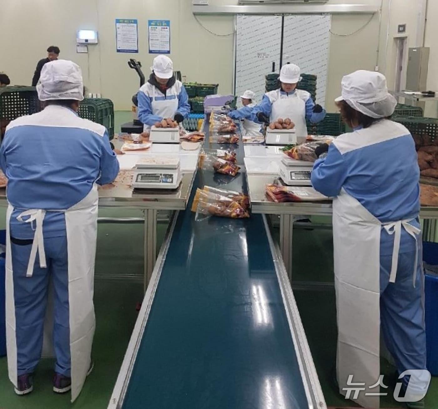 본문 이미지 - 친환경 농산물 소포장.(전남도 제공. 재판매 및 DB금지) 2026.2.3/뉴스1