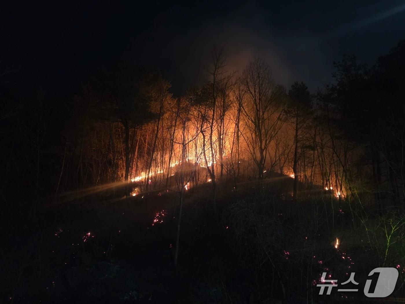 본문 이미지 - 지난 1일 오후 강원 동해시 달방동 산불 현장.(강원도 산불방지대책본부 제공, 재판매 및 DB 금지)