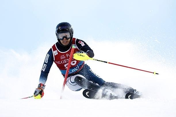 본문 이미지 - 정동현.(미동부한인스키협회 제공)