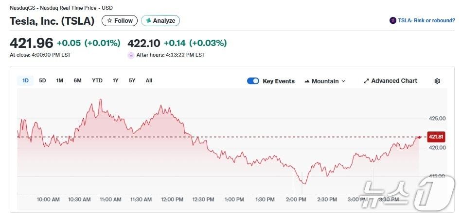 본문 이미지 - 테슬라 일일 주가추이 - 야후 파이낸스 갈무리